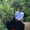 kevinlim0029